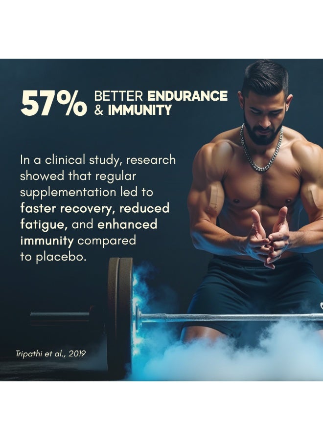 راسايانام متعدد الفيتامينات للرجال - 60 قرصًا | أكثر من 25 فيتامينًا ومعادن أساسية للصحة العامة - Image 5